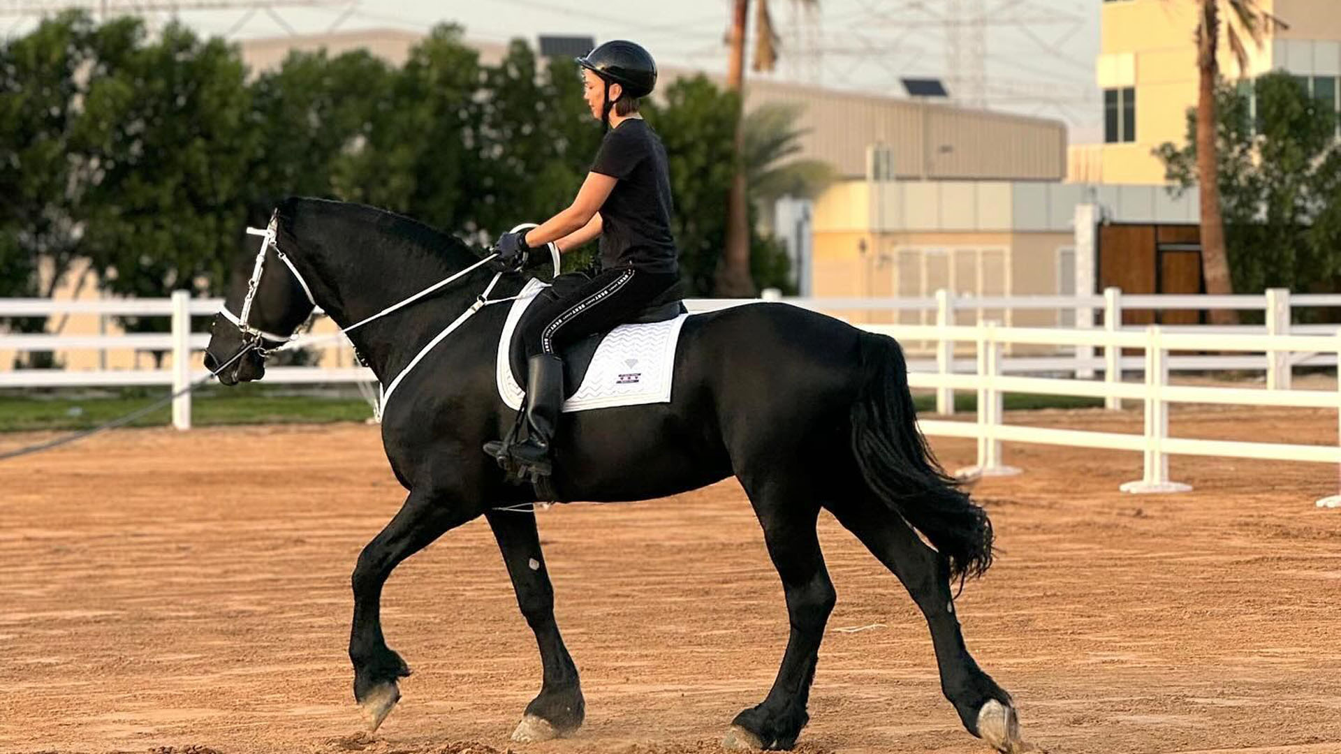 An Introduction to Horse Riding