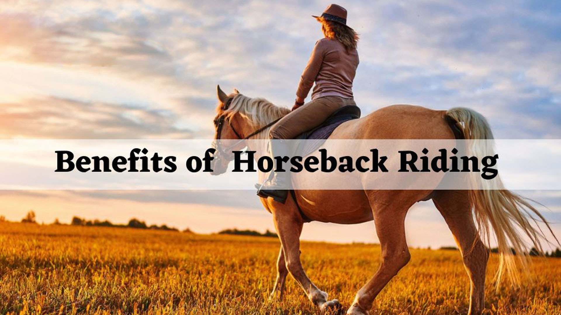The Benefits of Riding Horses