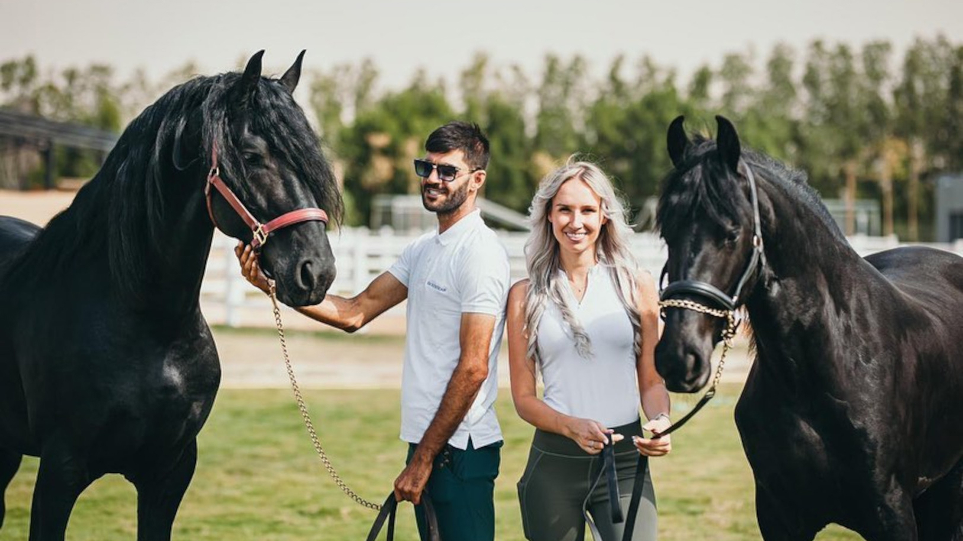 The History & Care Manual of Friesian Horses