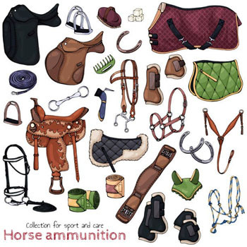 Equestrian Accessories