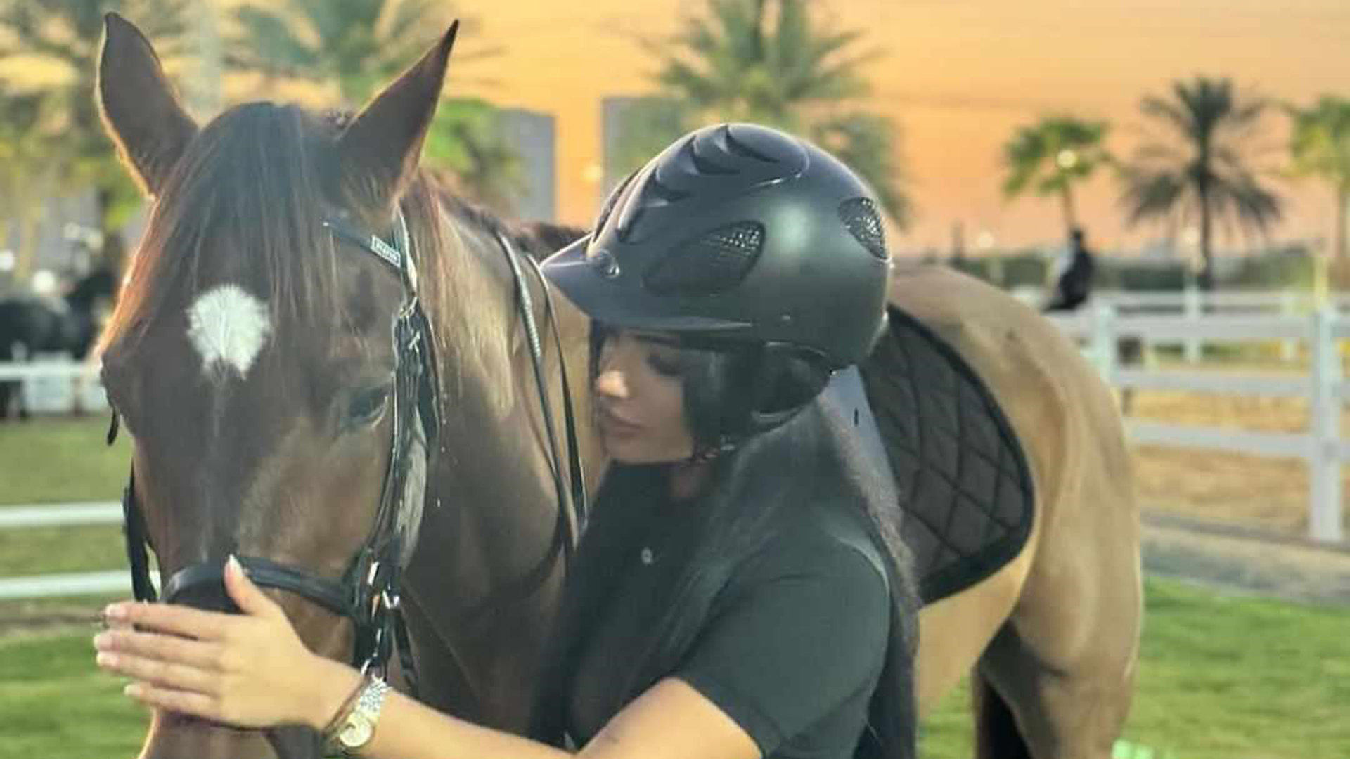  Handling Typical Horse Injuries