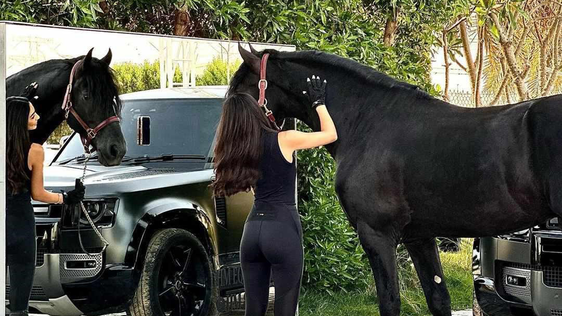 A Synopsis of Its History