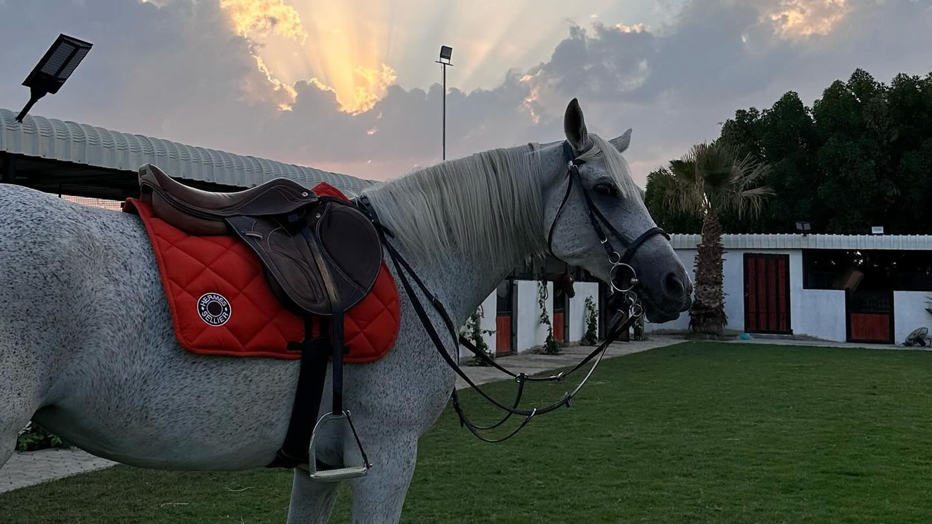 How Well You Can Ride a Horse